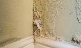 Rising Damp Treatment