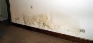 Rising Damp Treatment