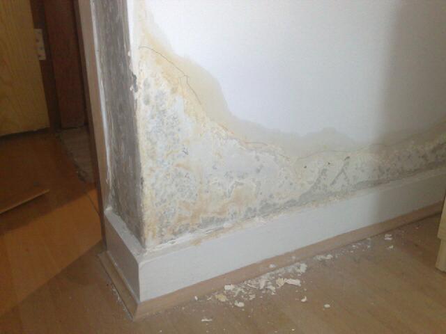 rising-damp